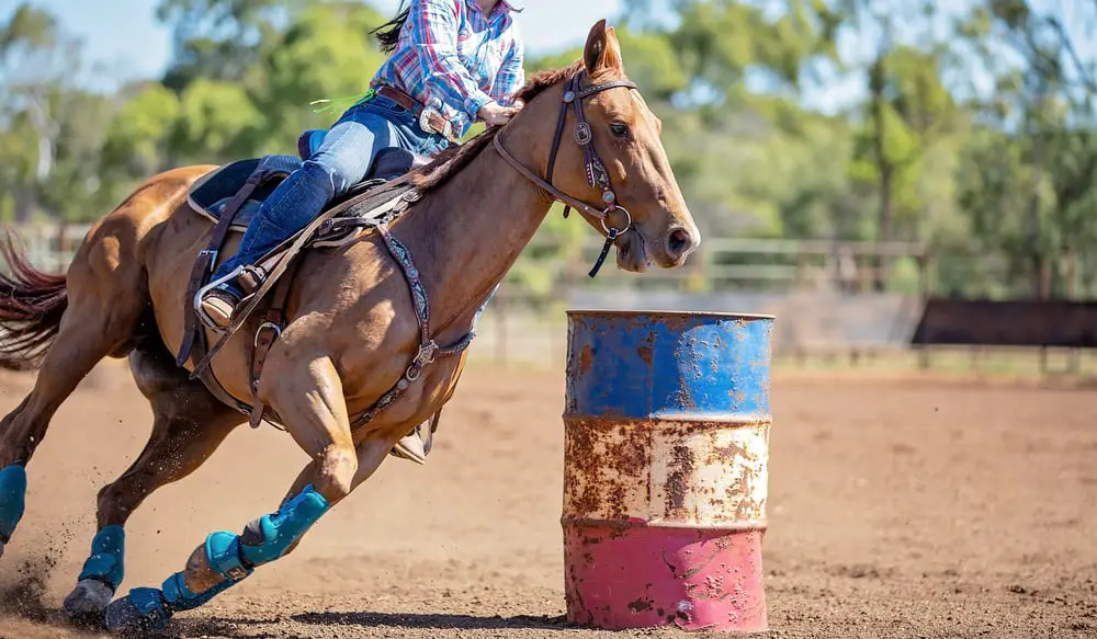 10-best-barrel-saddles-actually-worth-the-money-2024-horses-only